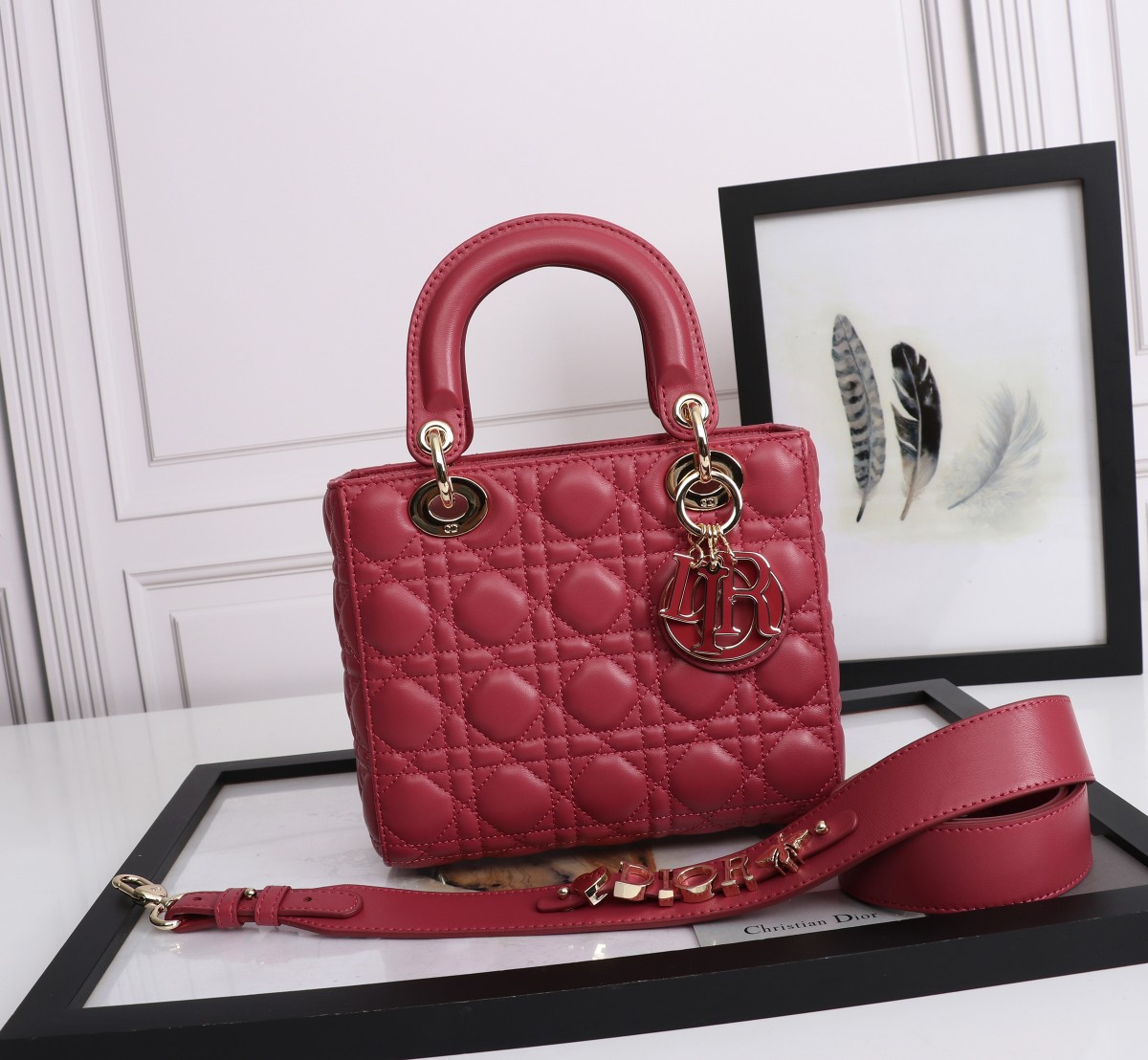 Small Lady Dior My ABCDior Bag Red Cannage Lambskin